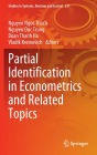 Partial Identification in Econometrics and Related Topics