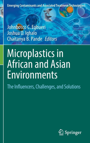 Microplastics African and Asian Environments: The Influencers, Challenges, and Solutions