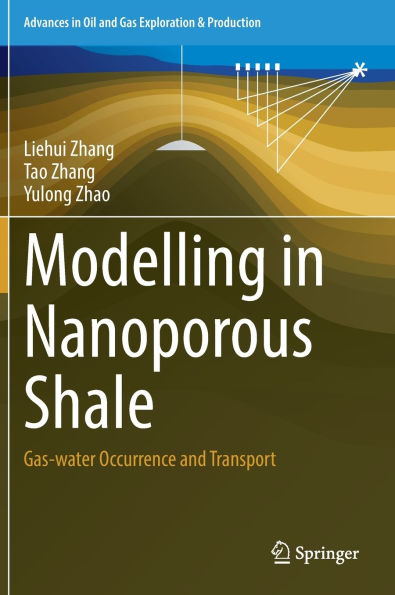 Modelling Nanoporous Shale: Gas-water Occurrence and Transport