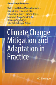 Kindle download books Climate Change Mitigation and Adaptation in Practice by Walter Leal Filho, Marina Kovaleva, Maria Alzira Pimenta Dinis, Johannes M. Luetz, Fátima Alves