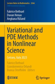 Title: Variational and PDE Methods in Nonlinear Science: Cetraro, Italy 2023, Author: Fabrice Bethuel
