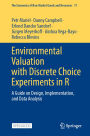 Environmental Valuation with Discrete Choice Experiments in R: A Guide on Design, Implementation, and Data Analysis