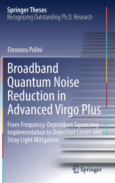 Broadband Quantum Noise Reduction Advanced Virgo Plus: From Frequency-Dependent Squeezing Implementation to Detection Losses and Stray Light Mitigation
