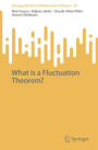 What is a Fluctuation Theorem?