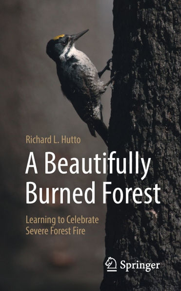 A Beautifully Burned Forest: Learning to Celebrate Severe Forest Fire