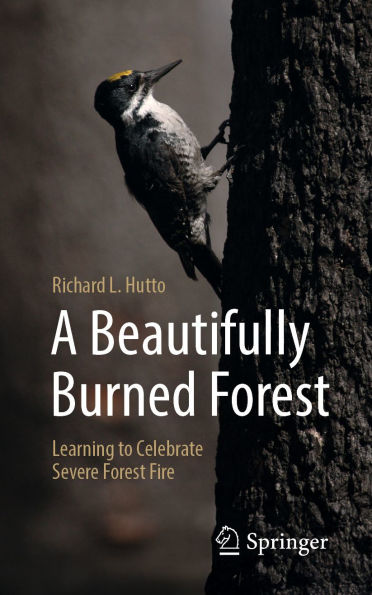 A Beautifully Burned Forest: Learning to Celebrate Severe Forest Fire