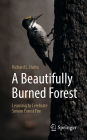 A Beautifully Burned Forest: Learning to Celebrate Severe Forest Fire