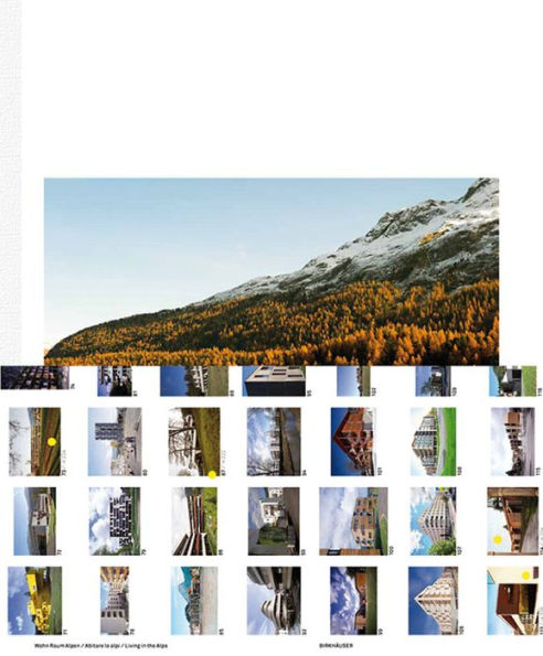 Wohn Raum Alpen / Abitare le alpi / Living in the Alps: Nachhaltiger Wohnbau in den Bergen - zeitgenössische Wohnformen mit Perspektive