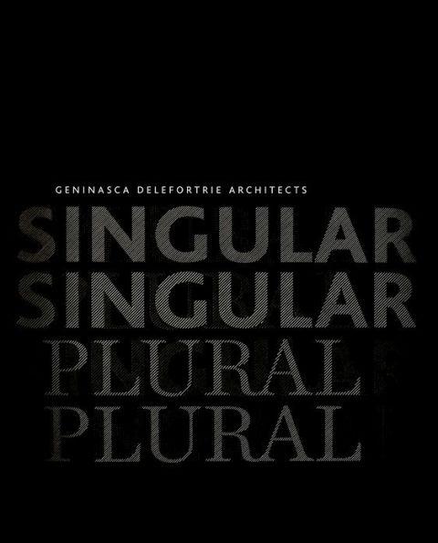 singular & plural: Geninasca Delefortrie Architecture