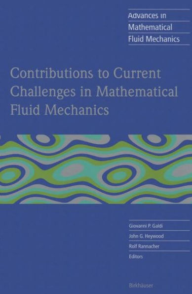 Contributions to Current Challenges Mathematical Fluid Mechanics