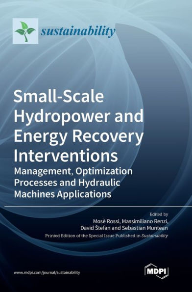 Small-Scale Hydropower and Energy Recovery Interventions: Management, Optimization Processes and Hydraulic Machines Applications
