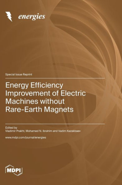 Energy Efficiency Improvement of Electric Machines without Rare-Earth Magnets