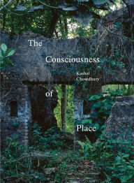 Title: The Consciousness of Place, Author: Kashef Chowdhury