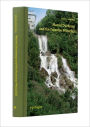 Marcel Duchamp and the Forestay Waterfall