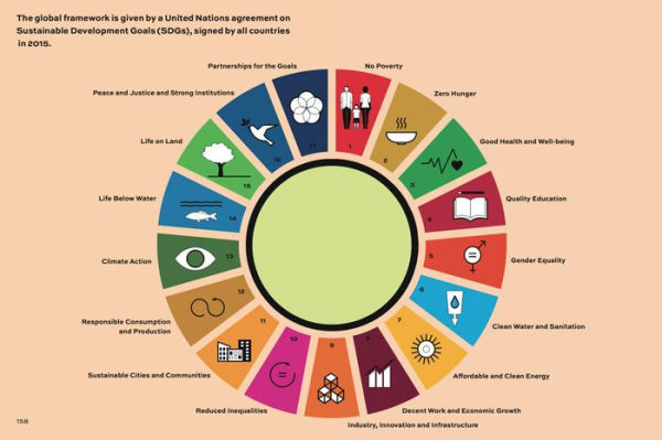 Financing Our Common Future: In the Time of COVID-19