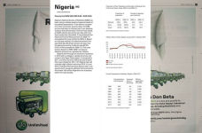 Alternative view 15 of Chow and Lin: The Poverty Line