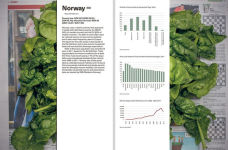 Alternative view 3 of Chow and Lin: The Poverty Line