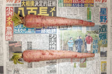 Alternative view 10 of Chow and Lin: The Poverty Line