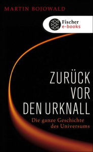 Title: Zurück vor den Urknall: Die ganze Geschichte des Universums, Author: Martin Bojowald