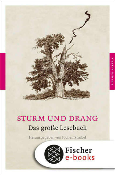 Sturm und Drang: Das große Lesebuch