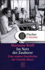 Im Netz der Zauberer: Eine andere Geschichte der Familie Mann