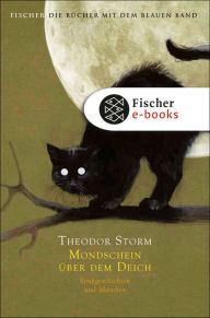 Title: Mondschein über dem Deich: Spukgeschichten und Märchen, Author: Theodor Storm