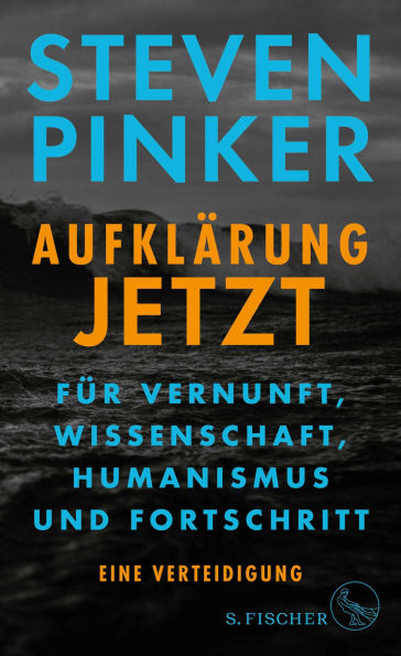 Aufklärung jetzt: Für Vernunft, Wissenschaft, Humanismus und Fortschritt. Eine Verteidigung