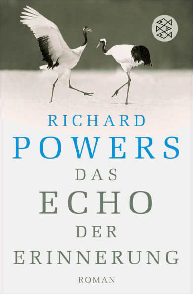 Das Echo der Erinnerung (The Echo Maker)