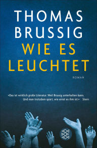 Title: Wie es leuchtet: Roman, Author: Thomas Brussig