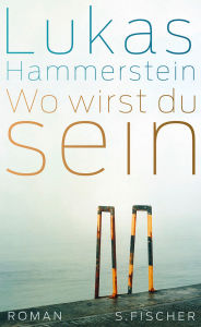 Title: Wo wirst du sein: Roman, Author: Lukas Hammerstein