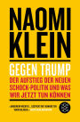 Gegen Trump: Wie es dazu kam und was wir jetzt tun müssen