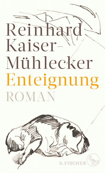 Enteignung: Roman