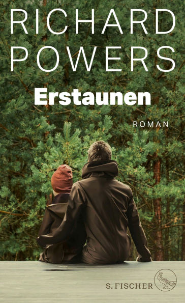 Erstaunen (Bewilderment)