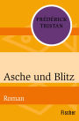 Asche und Blitz: Roman