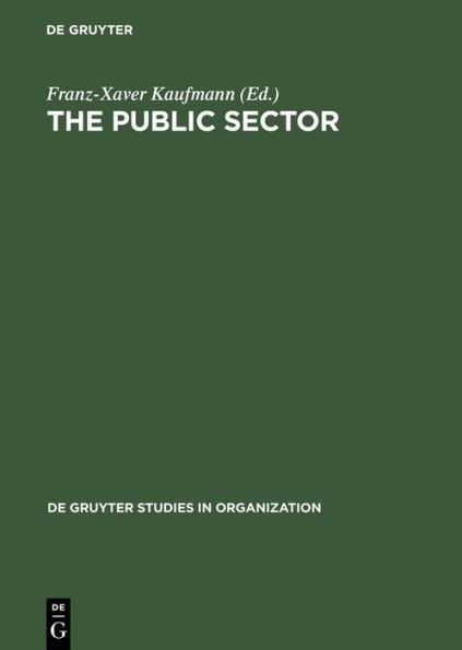 The Public Sector: Challenge for Coordination and Learning / Edition 1