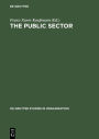 The Public Sector: Challenge for Coordination and Learning / Edition 1