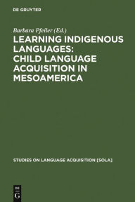 Title: Learning Indigenous Languages: Child Language Acquisition in Mesoamerica, Author: Barbara Pfeiler