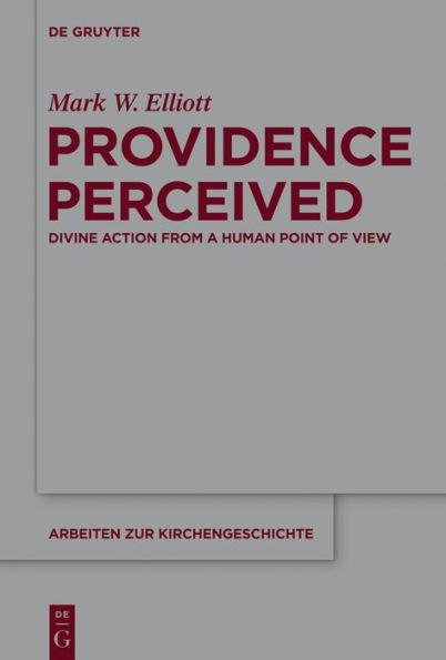 Providence Perceived: Divine Action from a Human Point of View