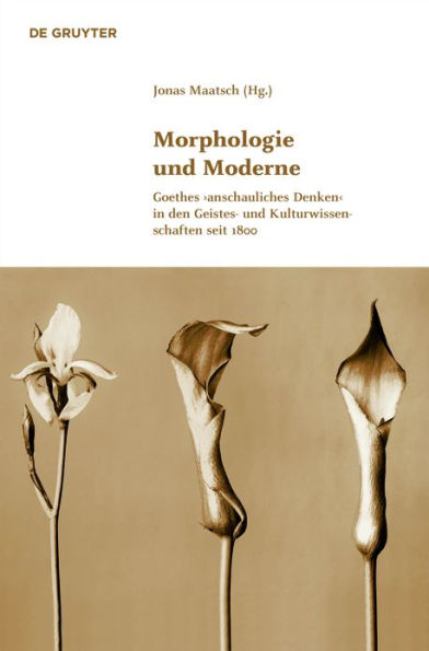 Morphologie und Moderne: Goethes >anschauliches Denken< den Geistes- Kulturwissenschaften seit 1800