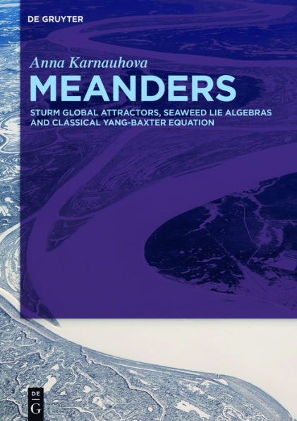 Meanders: Sturm Global Attractors, Seaweed Lie Algebras and Classical Yang-Baxter Equation / Edition 1