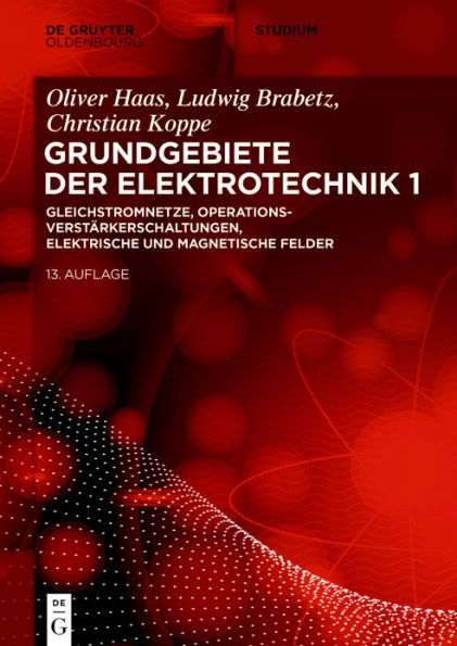 Gleichstromnetze, Operationsverstärkerschaltungen, elektrische und magnetische Felder / Edition 13