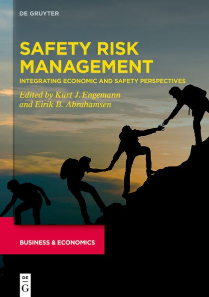 Safety Risk Management: Integrating Economic and Perspectives