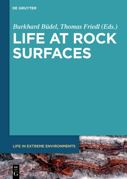 Life at Rock Surfaces: Challenged by Extreme Light, Temperature and Hydration Fluctuations