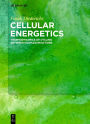Cellular Energetics: Thermodynamics of Cycling Between Coupled Reactions