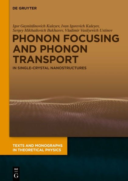 Phonon Focusing and Phonon Transport: In Single-Crystal Nanostructures / Edition 1