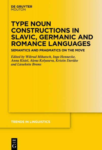 Type Noun Constructions Slavic, Germanic and Romance Languages: Semantics Pragmatics on the Move