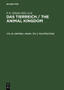 Amphibia. Anura, Teil 3: Polypedatidae