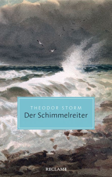 Der Schimmelreiter. Novelle: Reclam Taschenbuch