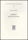 Title: Qumran and the Essenes: A Re-Evaluation of the Evidence, Author: Lena Cansdale