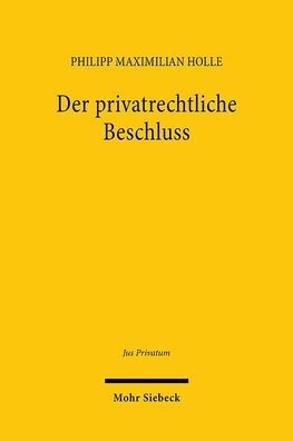 Der privatrechtliche Beschluss: Funktionsvoraussetzungen, Tatbestand, Fehlerfolgen
